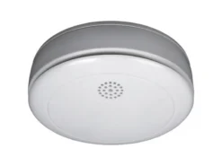 Smartwares 10.038.93 Rookmelder RM218